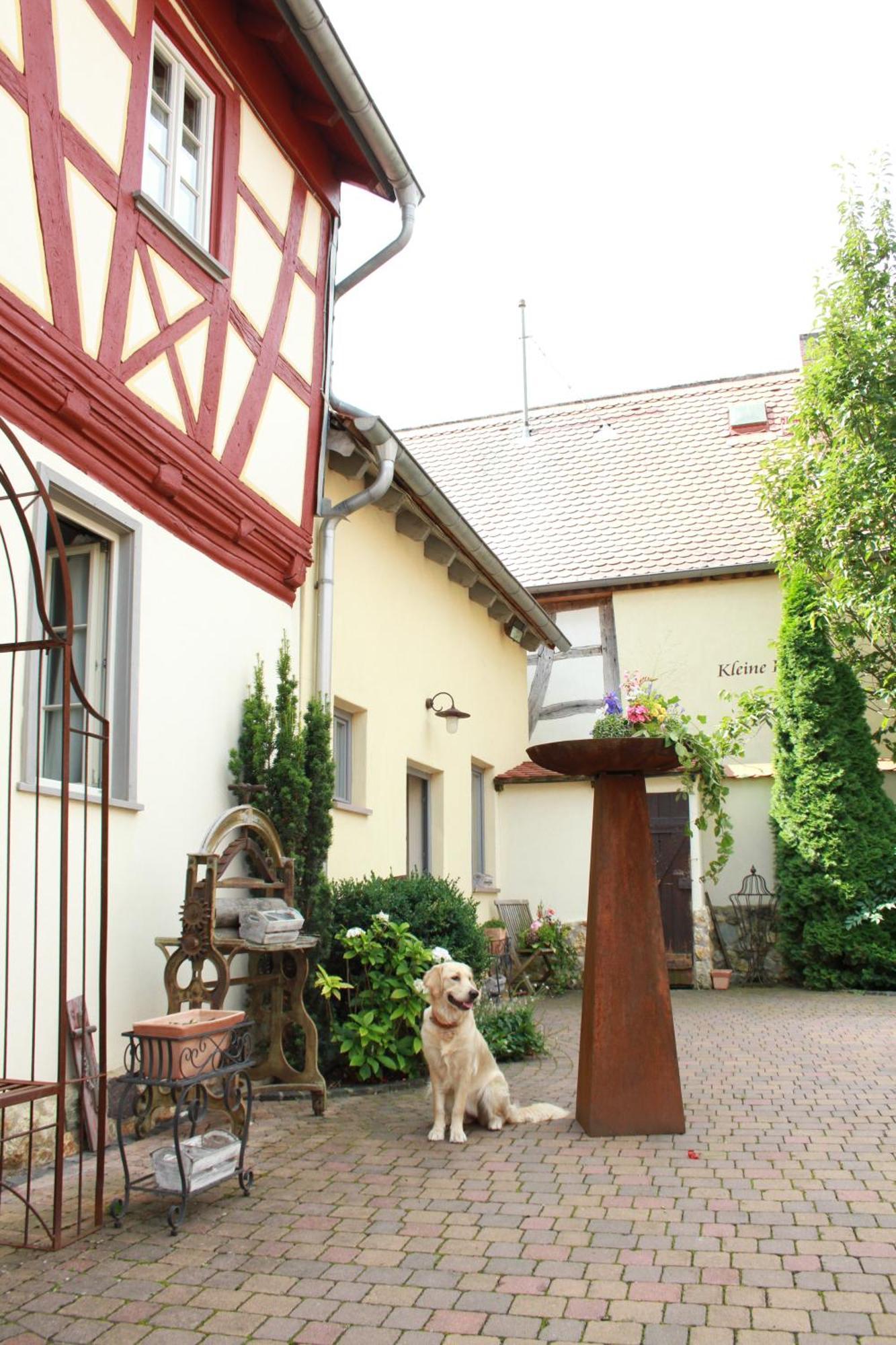 Kleine Residenz Am Schloss Hochheim am Main Eksteriør bilde